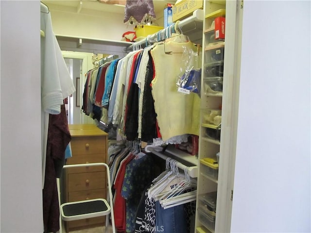 view of walk in closet