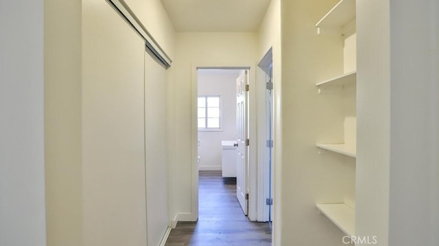 corridor featuring dark hardwood / wood-style floors