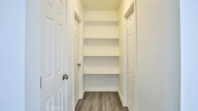 view of closet