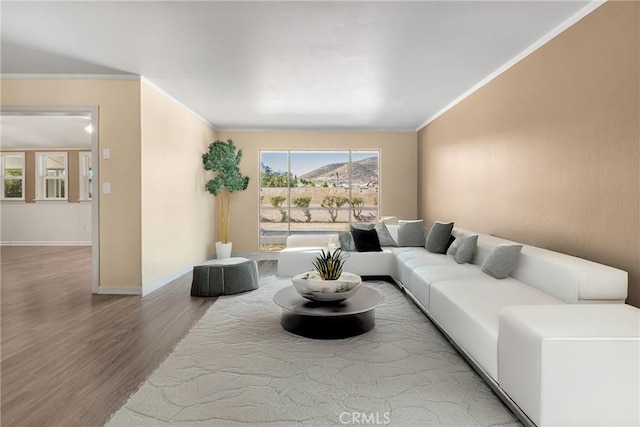 living room featuring crown molding and hardwood / wood-style flooring