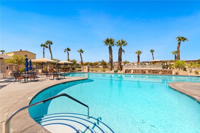 view of swimming pool with a patio