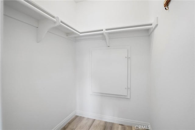 spacious closet featuring light hardwood / wood-style flooring