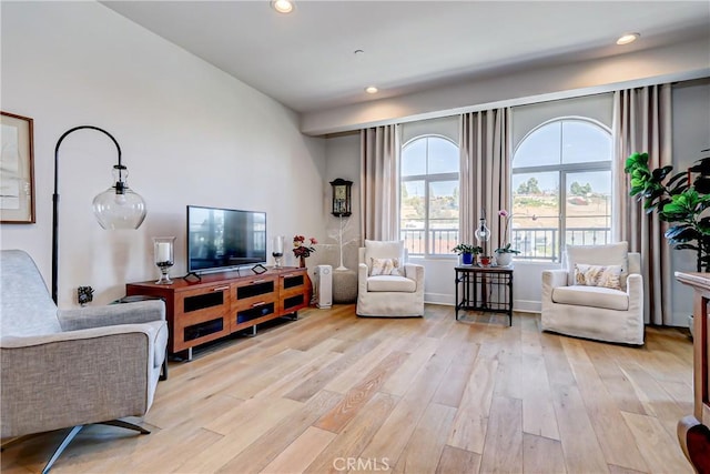 living room featuring light wood-type flooring