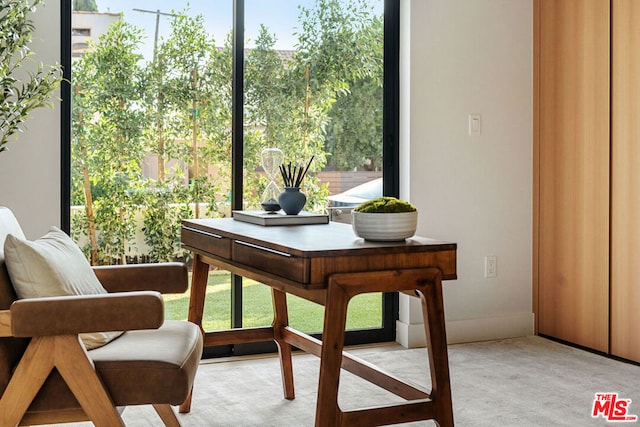 view of carpeted home office