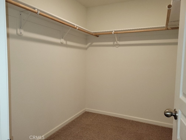 walk in closet with carpet