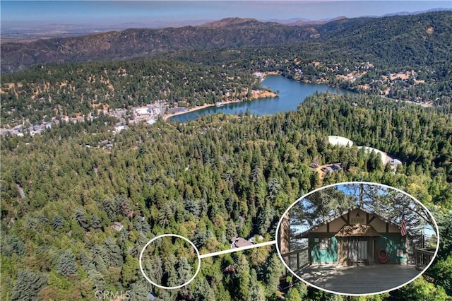 bird's eye view featuring a water and mountain view