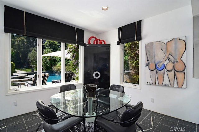 dining area featuring a wealth of natural light