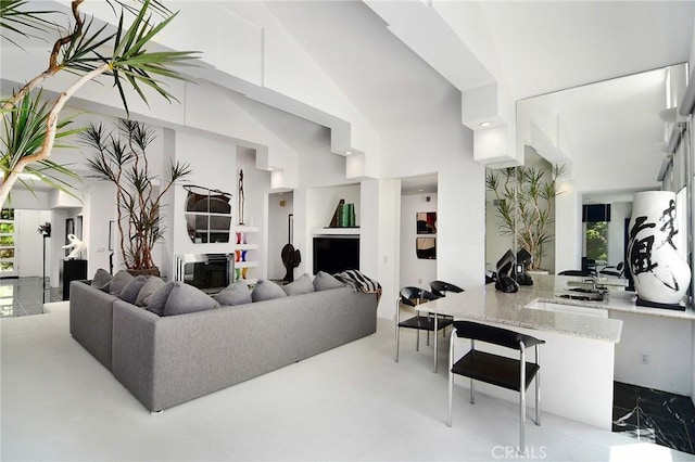 living room with lofted ceiling