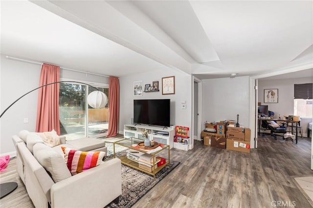 living room featuring wood-type flooring