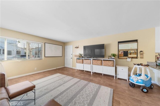 living room with hardwood / wood-style flooring