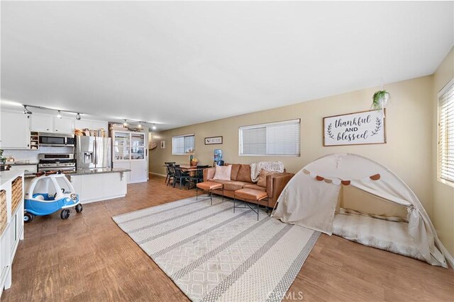 living room with light hardwood / wood-style flooring and plenty of natural light