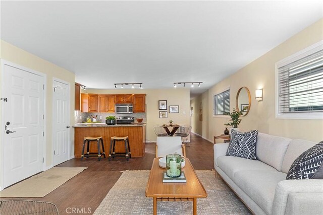 living room with dark wood-type flooring