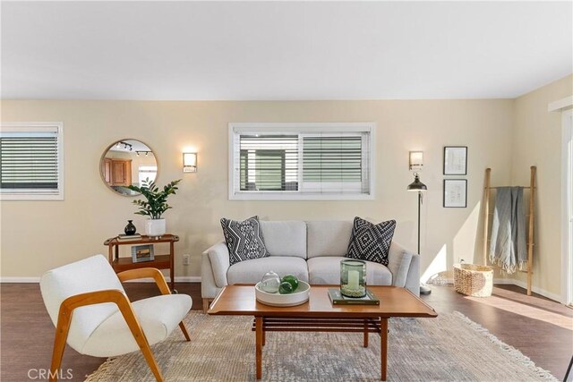 living room with wood-type flooring