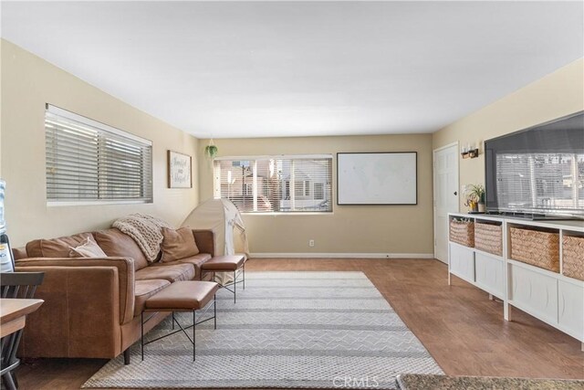 living room with wood-type flooring