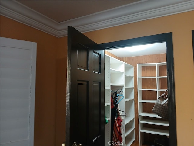 view of closet