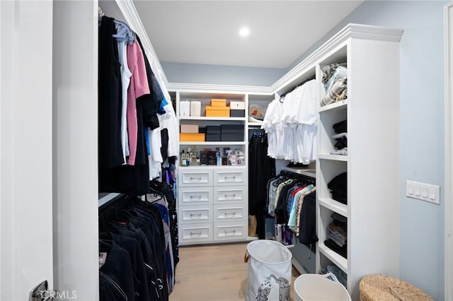 walk in closet with light wood-type flooring