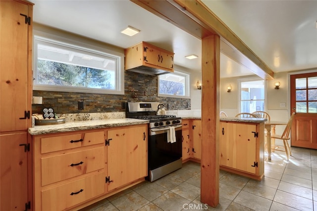 kitchen featuring tasteful backsplash, light stone counters, a healthy amount of sunlight, and stainless steel gas range