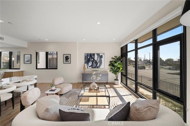 living room featuring wood-type flooring