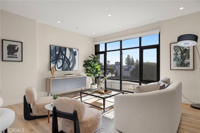 living room featuring light hardwood / wood-style floors