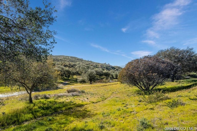 property view of mountains with a rural view