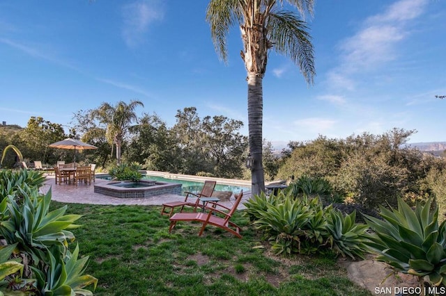 view of yard with a swimming pool with hot tub and a patio area