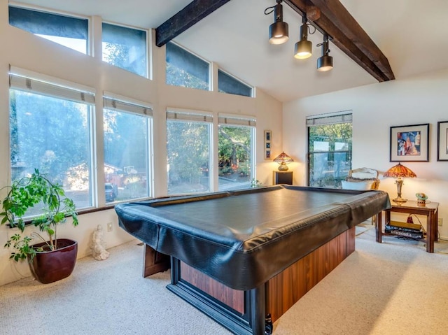 recreation room with beam ceiling, carpet floors, and a healthy amount of sunlight