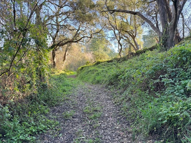 view of landscape