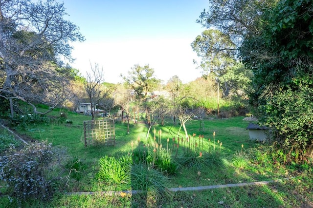 view of landscape