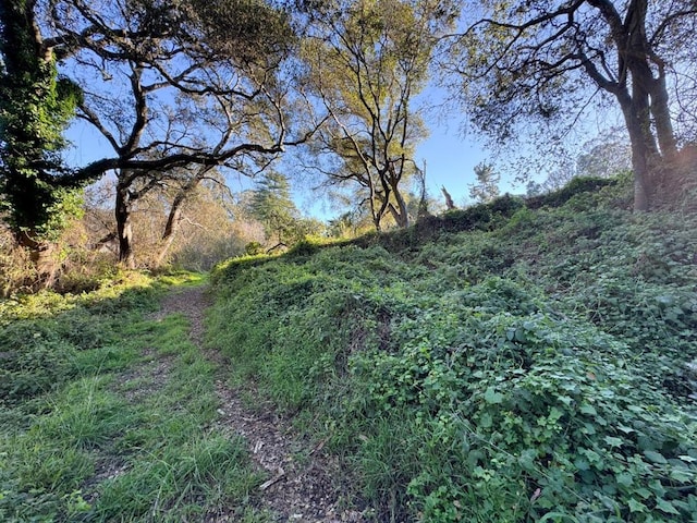 view of landscape