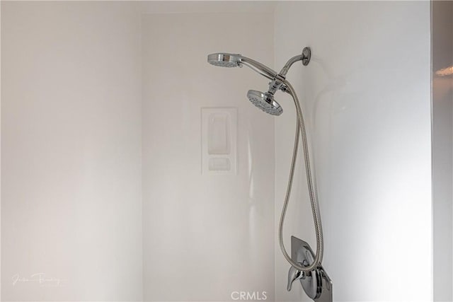 interior details featuring walk in shower