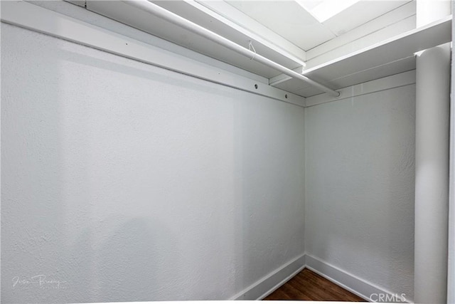 spacious closet with wood-type flooring