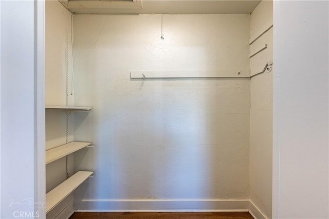 view of walk in closet