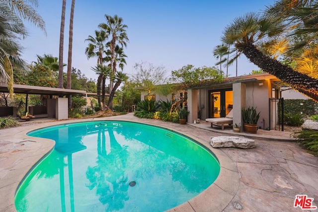 view of swimming pool with a patio