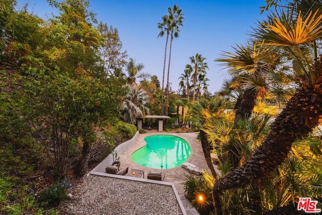 view of pool with a patio