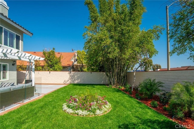 view of yard with a patio area