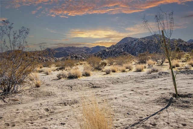 view of mountain feature