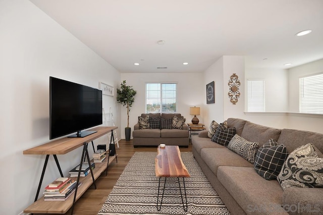 living room featuring wood-type flooring