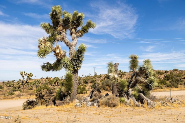 Listing photo 3 for 5200 Lemoore St, Yucca Valley CA 92284