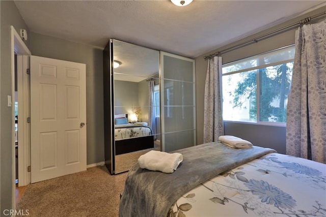 bedroom with carpet floors