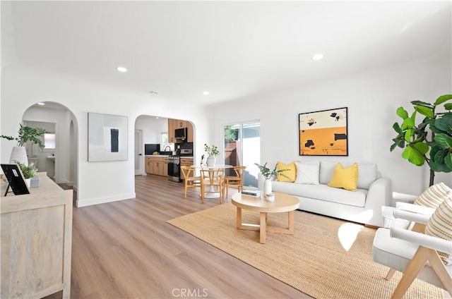 living room featuring light hardwood / wood-style floors