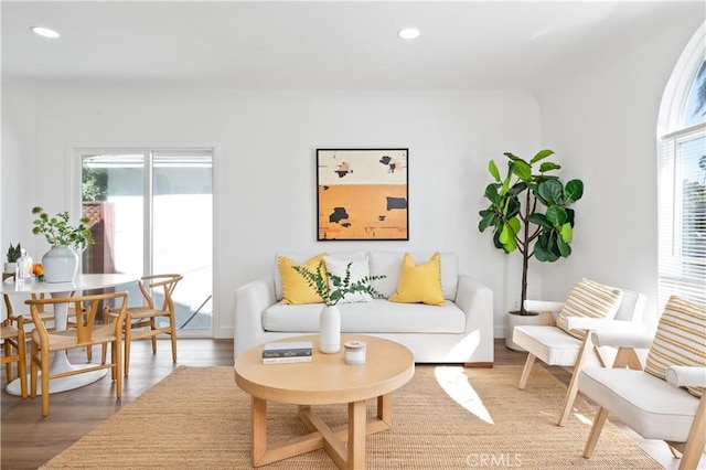 sitting room featuring hardwood / wood-style flooring