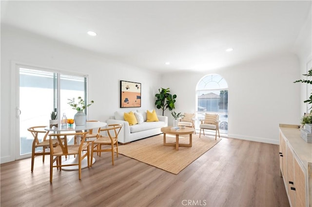 living room featuring light wood-type flooring