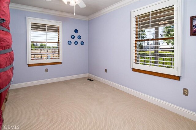 spare room featuring carpet, ceiling fan, and ornamental molding