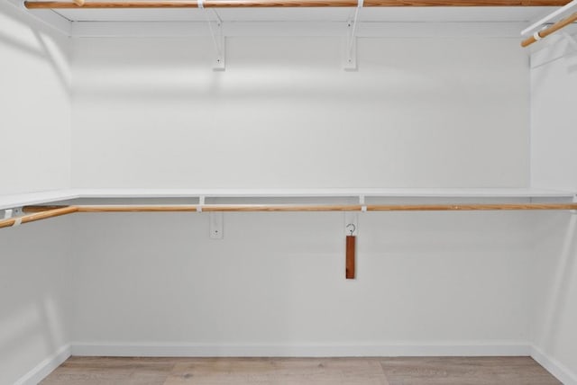 spacious closet featuring light hardwood / wood-style flooring