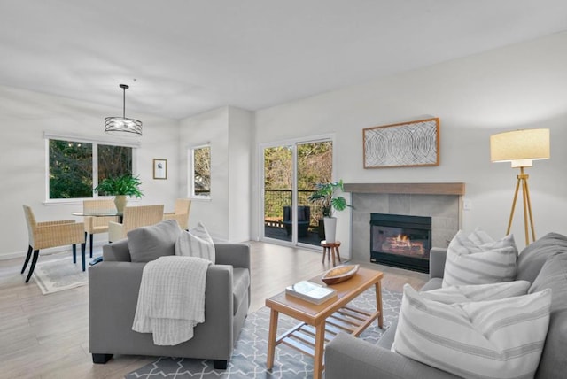 living room with light hardwood / wood-style floors and a tile fireplace