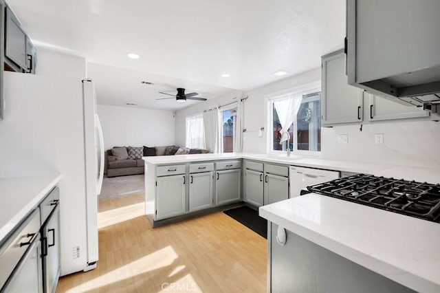 kitchen featuring gray cabinetry, white appliances, ceiling fan, sink, and light hardwood / wood-style flooring