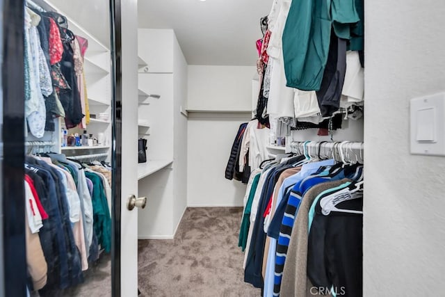 walk in closet featuring light colored carpet