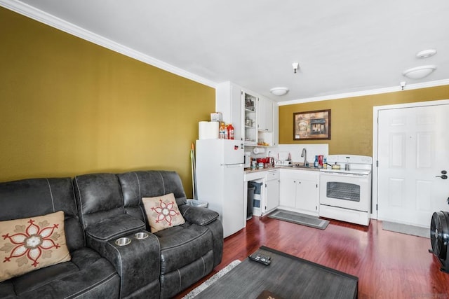 living room with ornamental molding, sink, and dark wood-type flooring