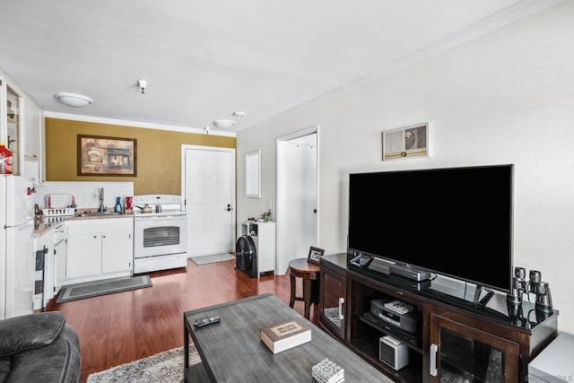 living room featuring sink, wood-type flooring, and ornamental molding