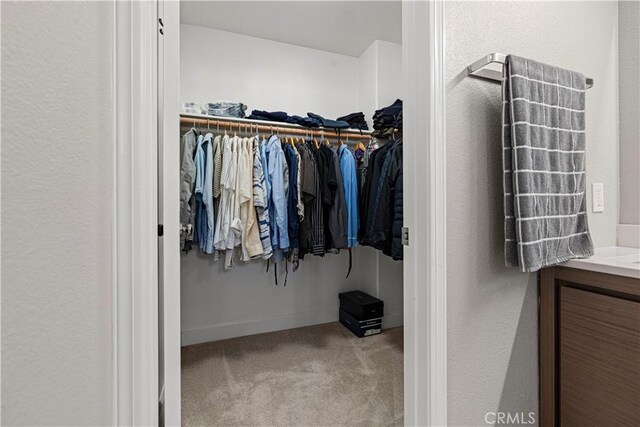 spacious closet with light carpet